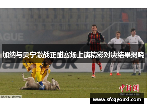 加纳与贝宁激战正酣赛场上演精彩对决结果揭晓