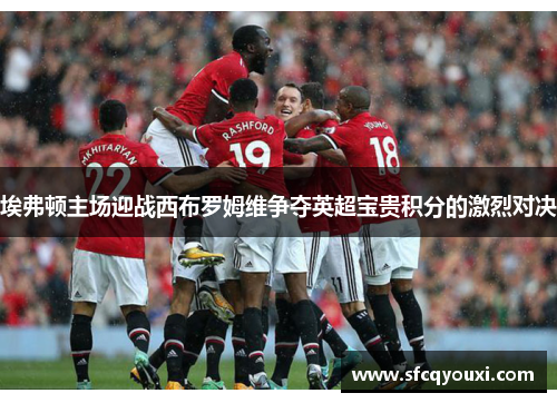 埃弗顿主场迎战西布罗姆维争夺英超宝贵积分的激烈对决