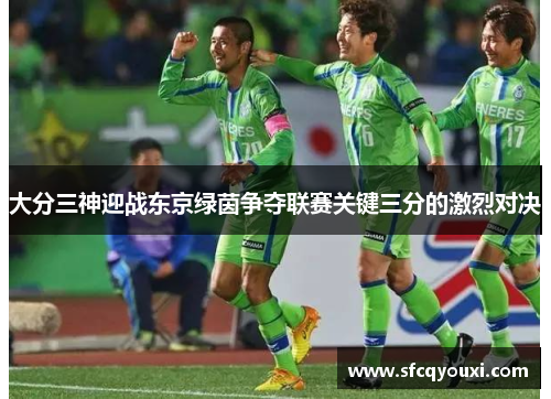 大分三神迎战东京绿茵争夺联赛关键三分的激烈对决